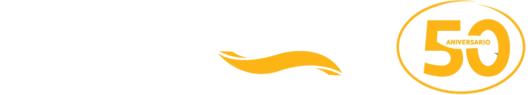 My Website